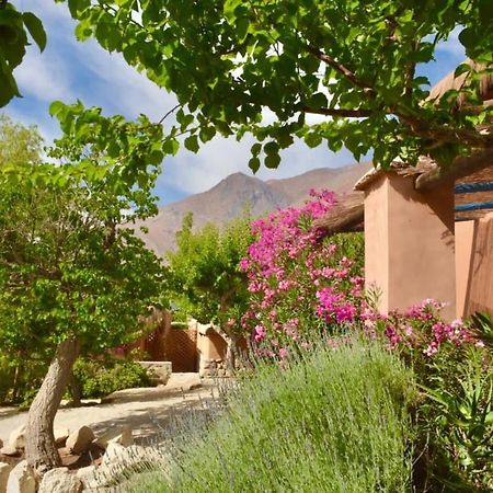 Refugio Misterios Del Elqui Bed & Breakfast Pisco Elqui Ngoại thất bức ảnh