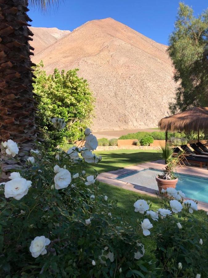 Refugio Misterios Del Elqui Bed & Breakfast Pisco Elqui Ngoại thất bức ảnh