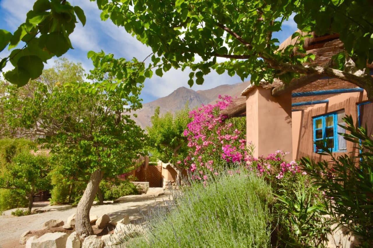 Refugio Misterios Del Elqui Bed & Breakfast Pisco Elqui Ngoại thất bức ảnh
