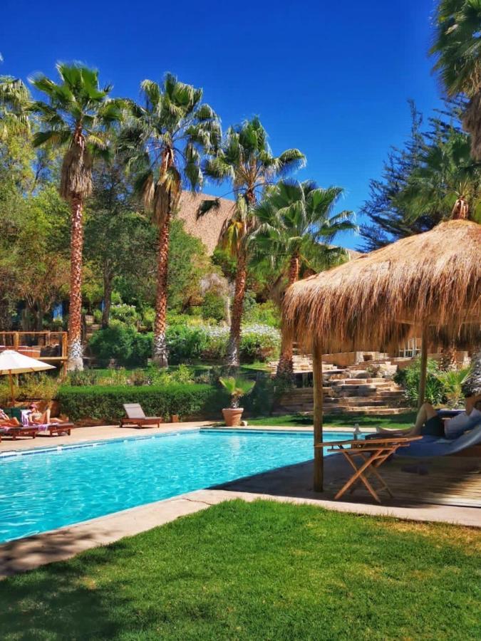 Refugio Misterios Del Elqui Bed & Breakfast Pisco Elqui Ngoại thất bức ảnh