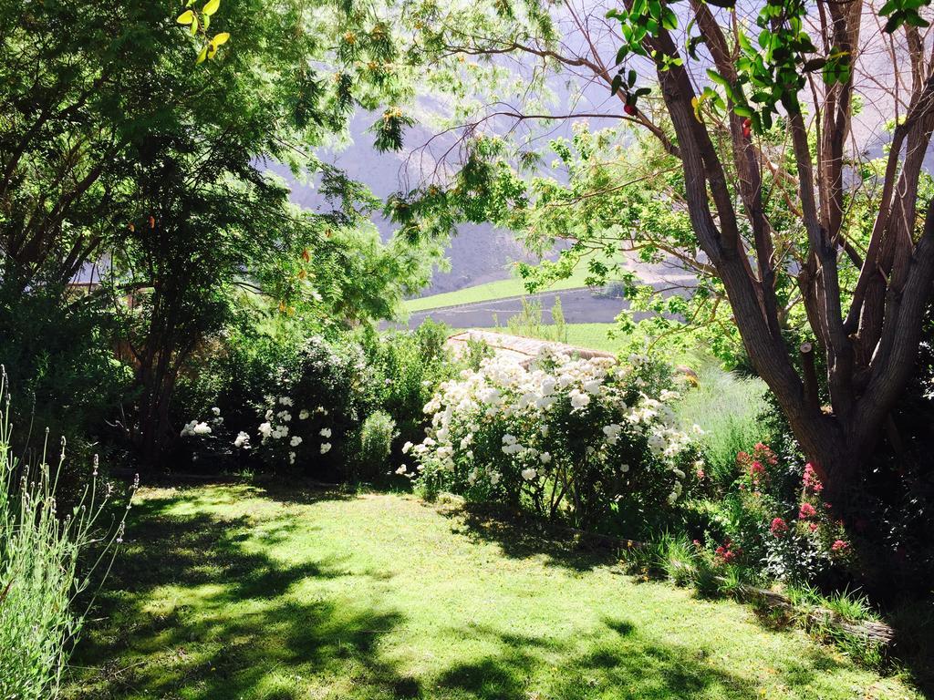 Refugio Misterios Del Elqui Bed & Breakfast Pisco Elqui Ngoại thất bức ảnh