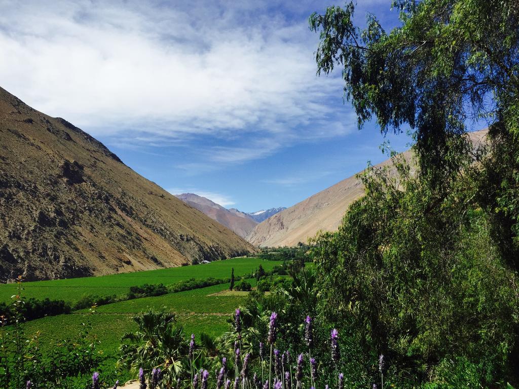 Refugio Misterios Del Elqui Bed & Breakfast Pisco Elqui Ngoại thất bức ảnh