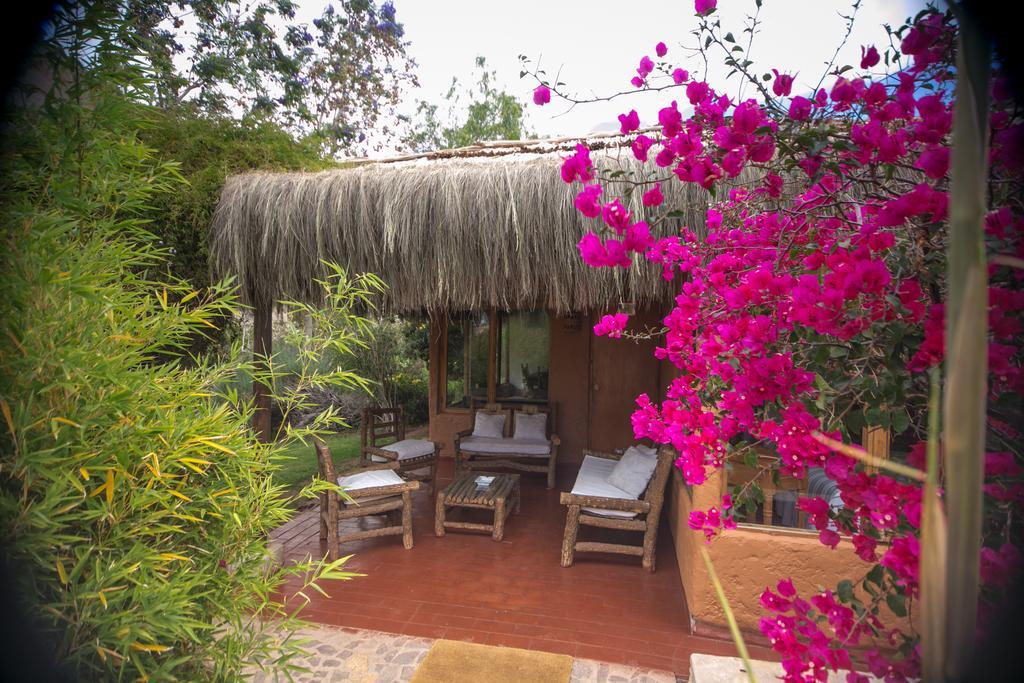 Refugio Misterios Del Elqui Bed & Breakfast Pisco Elqui Ngoại thất bức ảnh