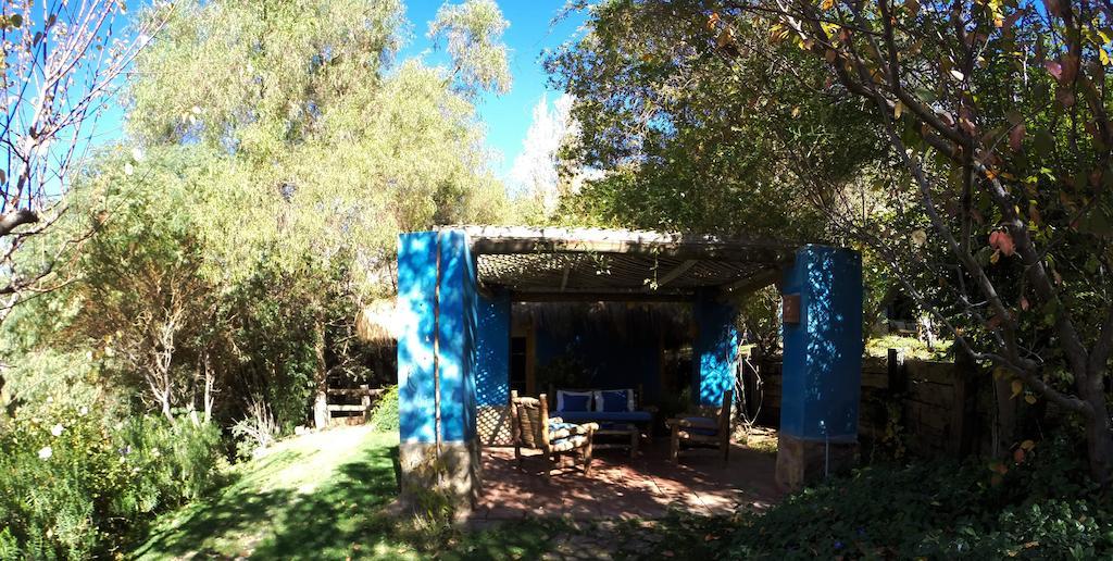 Refugio Misterios Del Elqui Bed & Breakfast Pisco Elqui Ngoại thất bức ảnh