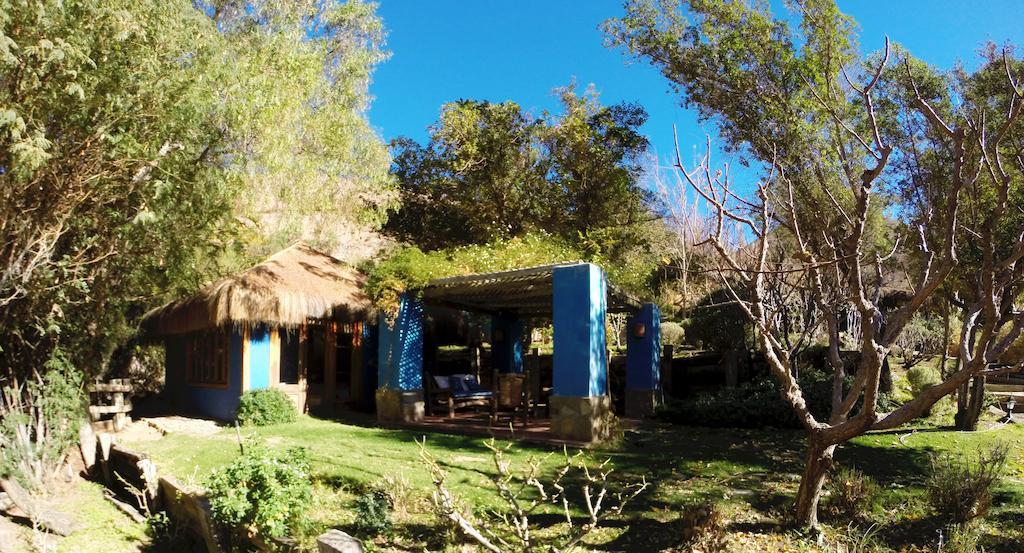 Refugio Misterios Del Elqui Bed & Breakfast Pisco Elqui Ngoại thất bức ảnh