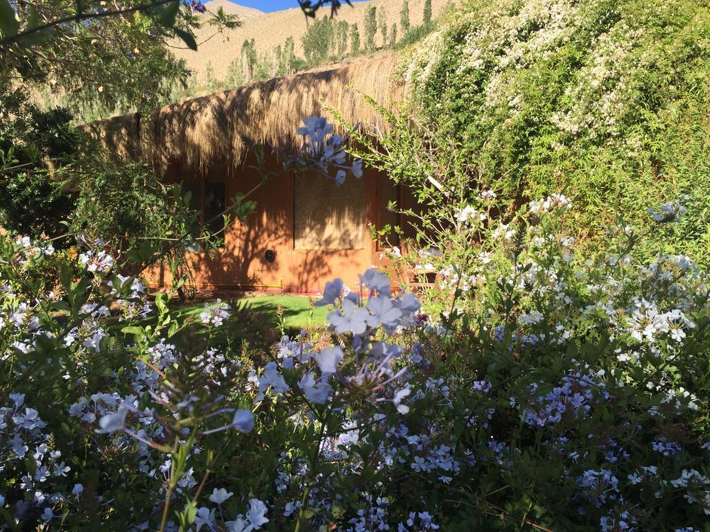 Refugio Misterios Del Elqui Bed & Breakfast Pisco Elqui Ngoại thất bức ảnh
