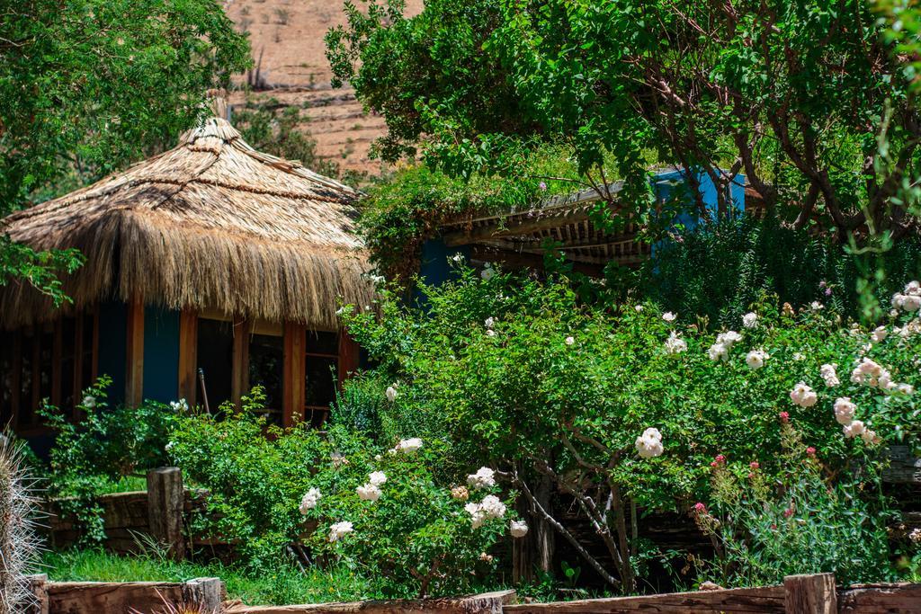 Refugio Misterios Del Elqui Bed & Breakfast Pisco Elqui Ngoại thất bức ảnh
