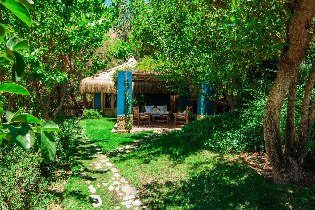 Refugio Misterios Del Elqui Bed & Breakfast Pisco Elqui Ngoại thất bức ảnh