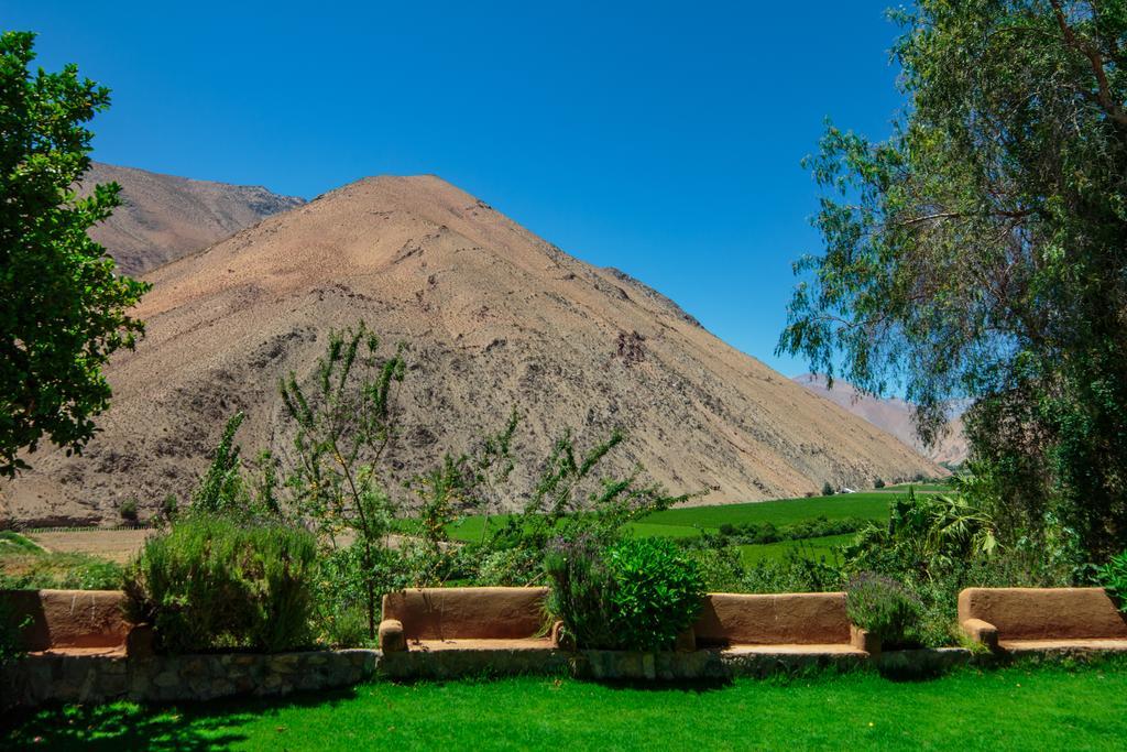 Refugio Misterios Del Elqui Bed & Breakfast Pisco Elqui Ngoại thất bức ảnh