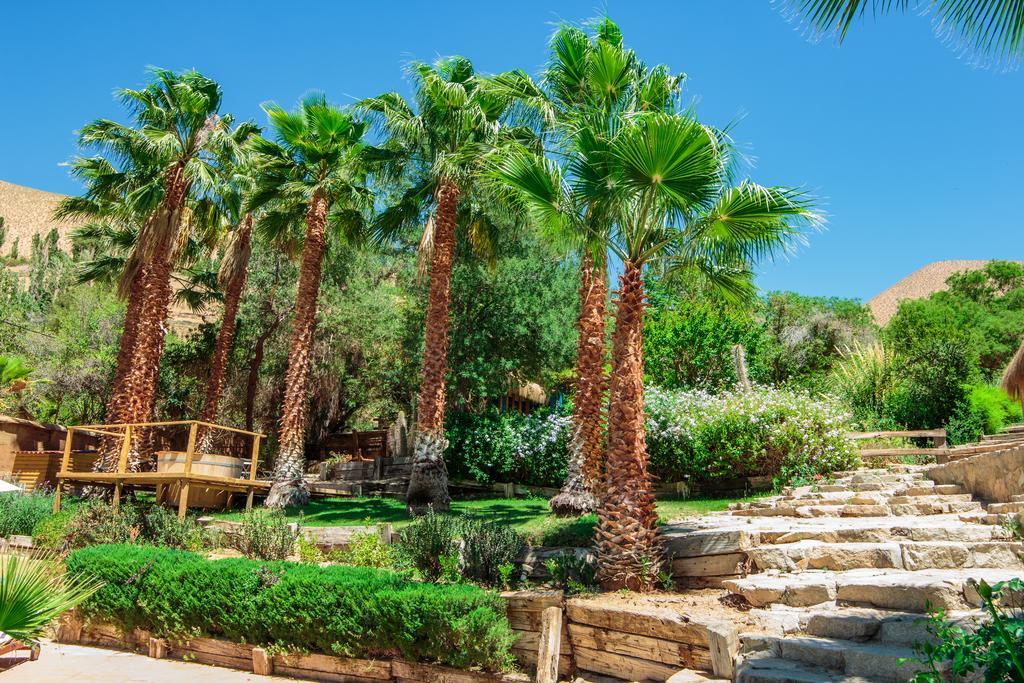 Refugio Misterios Del Elqui Bed & Breakfast Pisco Elqui Ngoại thất bức ảnh