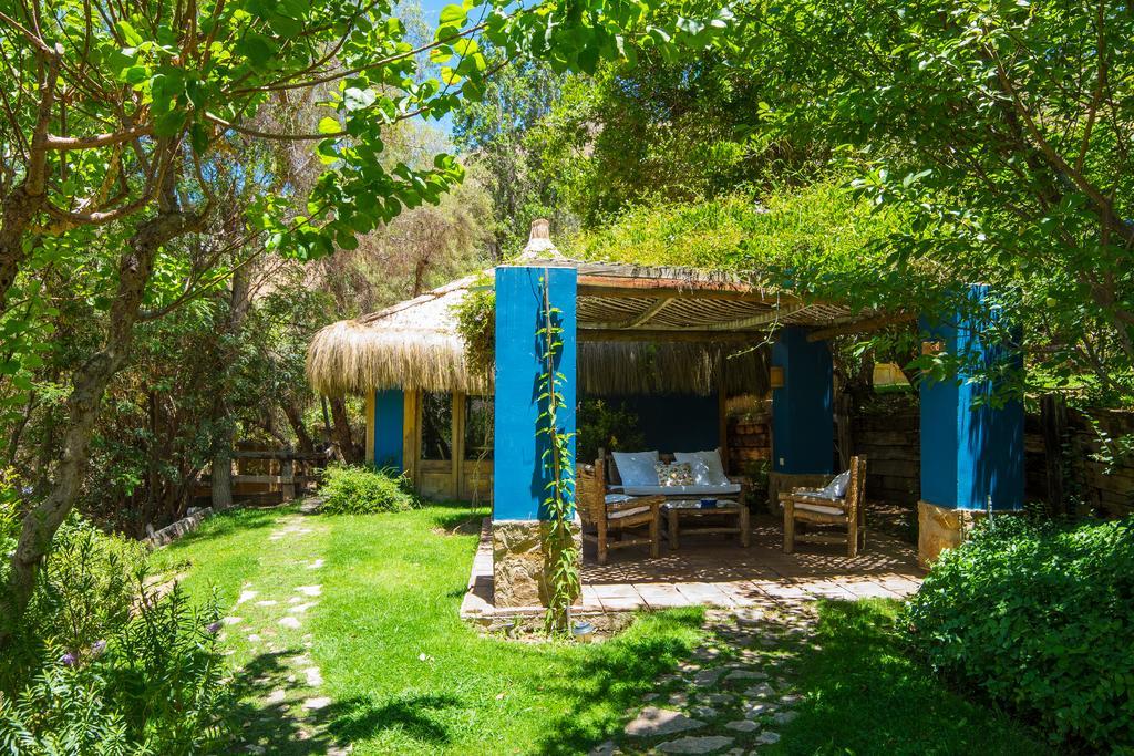 Refugio Misterios Del Elqui Bed & Breakfast Pisco Elqui Ngoại thất bức ảnh