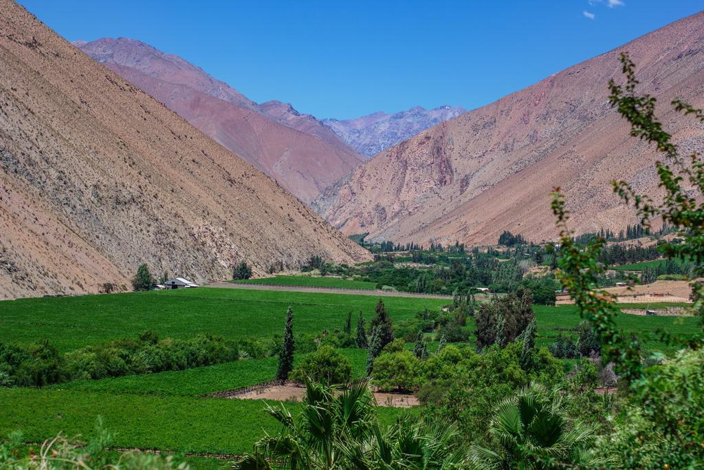 Refugio Misterios Del Elqui Bed & Breakfast Pisco Elqui Ngoại thất bức ảnh